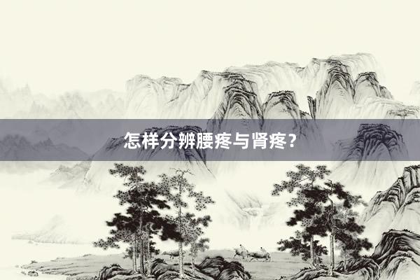 怎样分辨腰疼与肾疼？