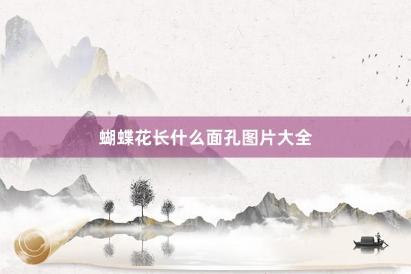 蝴蝶花长什么面孔图片大全