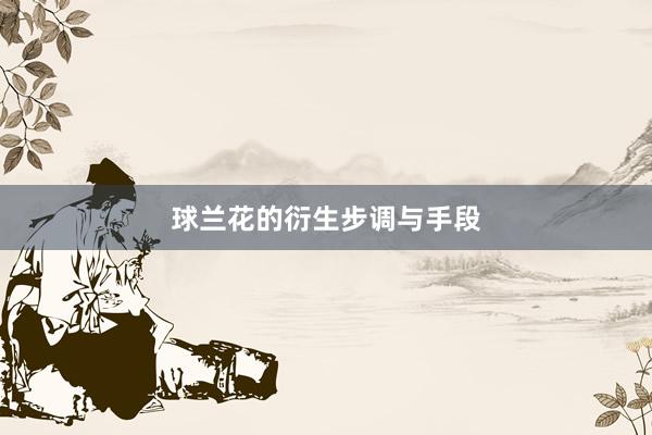 球兰花的衍生步调与手段