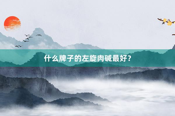 什么牌子的左旋肉碱最好？