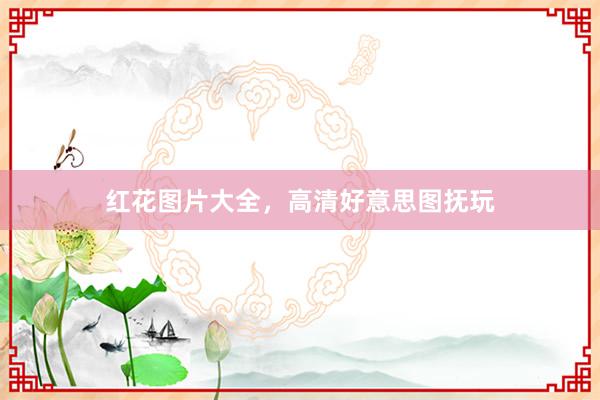 红花图片大全,高清好意思图抚玩